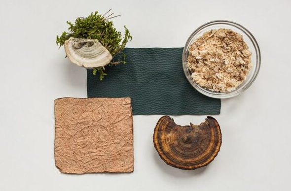 Woola、LivingPackets 和 Releaf Paper 入圍 LVMH 創(chuàng)新設(shè)計(jì)獎決賽